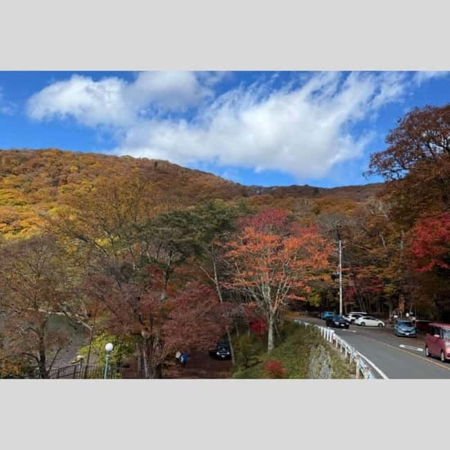 Tokyo: Nikko World Heritage Private Day Trip Hotel Pick-up - Tokyo Pickup To Nikko Mountains: What the Private Ride Changes