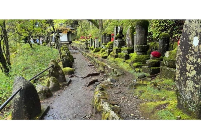 Tokyo: Nikko World Heritage Private Day Trip Hotel Pick-up - Kegon Falls and Lake Chūzenji: The Main Payoff