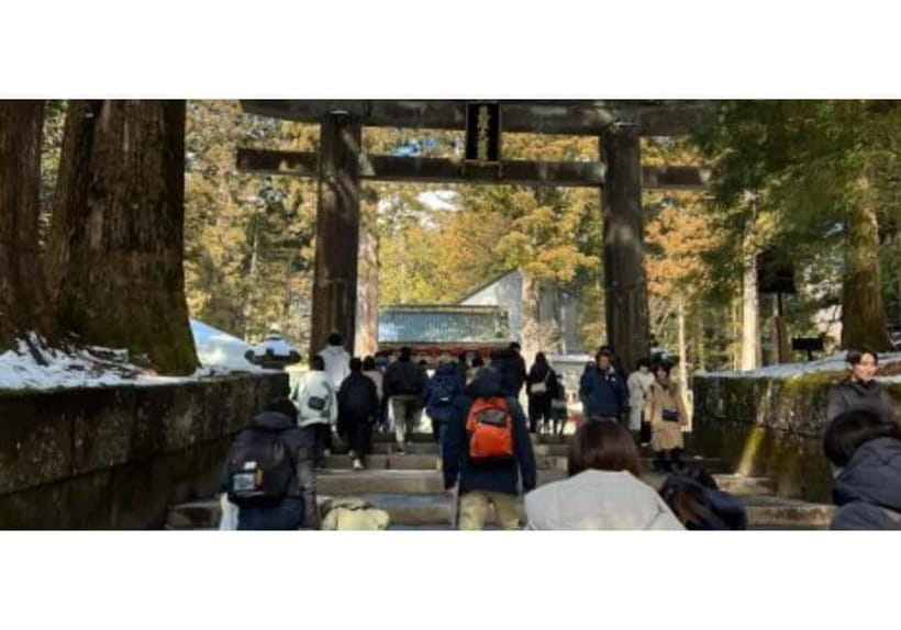 Tokyo: Nikko World Heritage Private Day Trip Hotel Pick-up - Toshogu Shrine: Color, Symbolism, and Why You Should Go Early