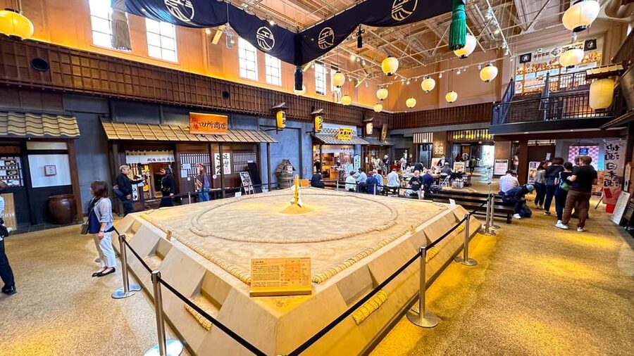 Tokyo: Not a show- a professional sumo practice with experts - Comfort and Practical Tips for a Floor-Sitting Morning