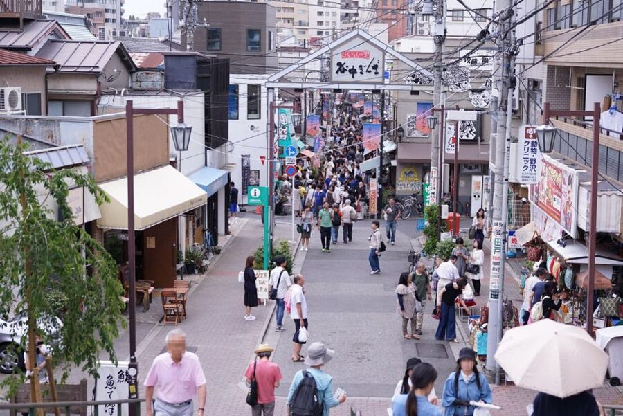 Tokyo: Off the Beaten Path Private Guided Tour - Why a licensed guide makes Tokyo feel less stressful