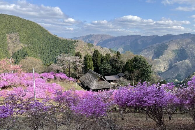 Tokyo Okutama Day Trip Tour - Okutama Town, Hatonosu Valley, and the Early Scenery Build-Up