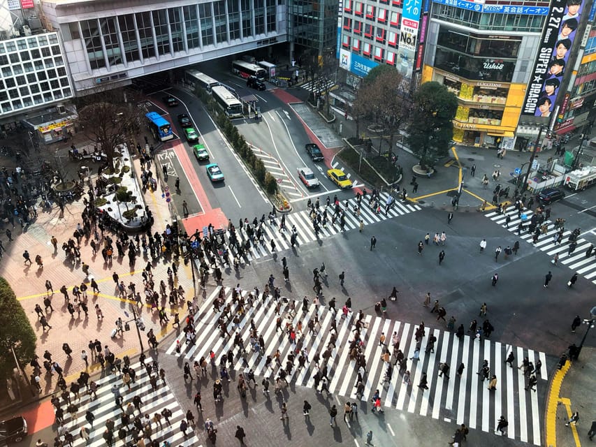 Tokyo: Personalized Private 6-Hour Tour - Who This Tour Fits Best