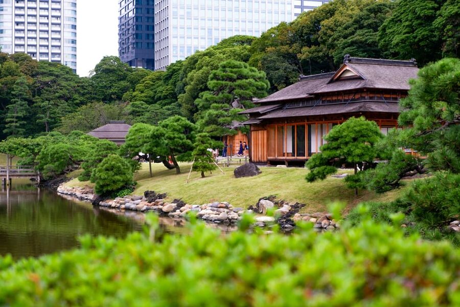 Tokyo: Personalized Private 6-Hour Tour - Shibuya and the Imperial Palace East Garden: Modern Tokyo, With Breathing Space