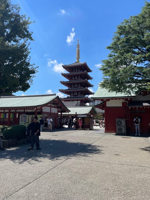 Tokyo: Private City Highlights Tour - Key points to know before you go