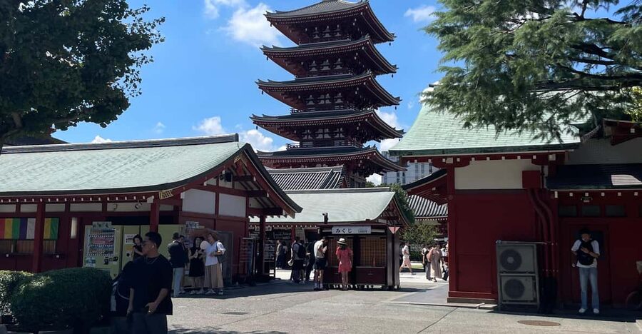 Tokyo: Private City Highlights Tour - Meiji Shrine: a calm reset away from the city noise