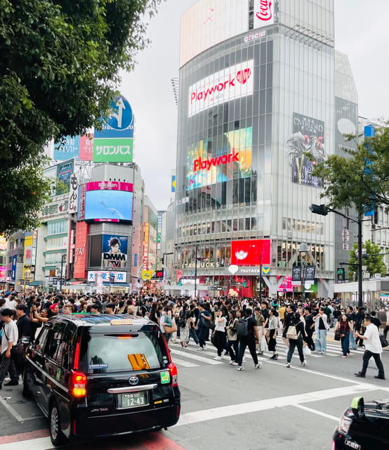 Tokyo: Private City Highlights Tour - Tsukiji Outer Market and Harajuku-style street time