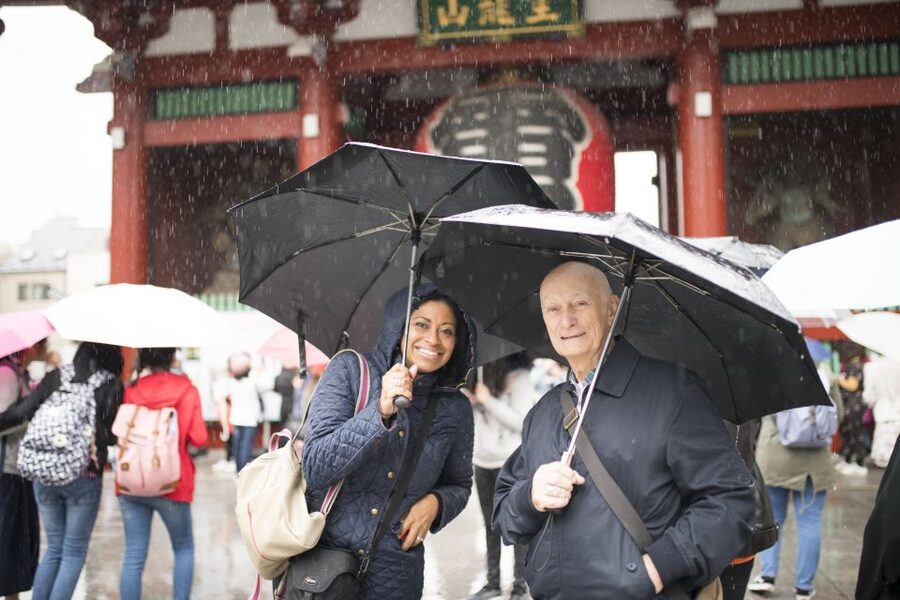 Tokyo: Private Custom Insider Tour with a Local Host - Artisan shops, teahouses, rooftop views, and Zen pauses