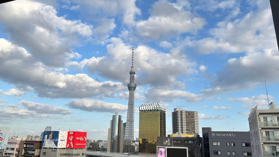 Tokyo: Private Customizable Tour with a Local Guide - 4 to 8 hours: how to choose the right length