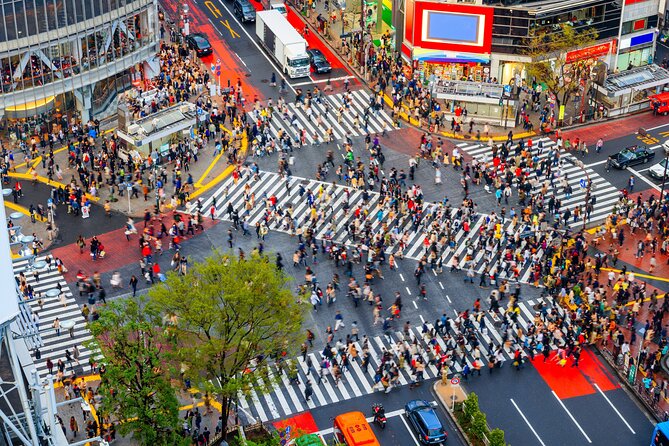 Tokyo Private Customizable Tour with English Speaking Chauffeur - An English-speaking chauffeur who can talk and adjust