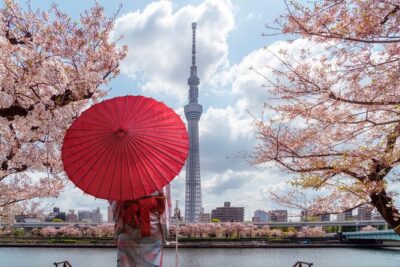 Tokyo Private Customizable Tour with English Speaking Chauffeur