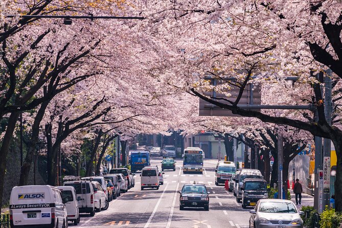 Tokyo Private Customizable Tour with English Speaking Chauffeur - Tsukiji Outer Market for a food-and-senses lunch plan