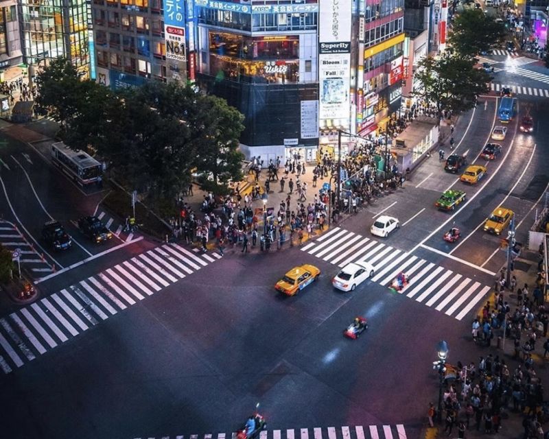 Tokyo: Private Customizable Tour with Transfer - What you can tailor in a 9-hour plan, and how to design it