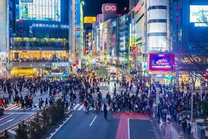 Tokyo Private Day Tour by Car with English speaking Driver - Key Points You’ll Care About