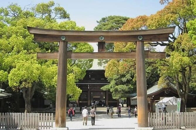 Tokyo Private Day Tour by Car with English speaking Driver - Why a Private Car Makes Tokyo Feel Smaller in 8 Hours