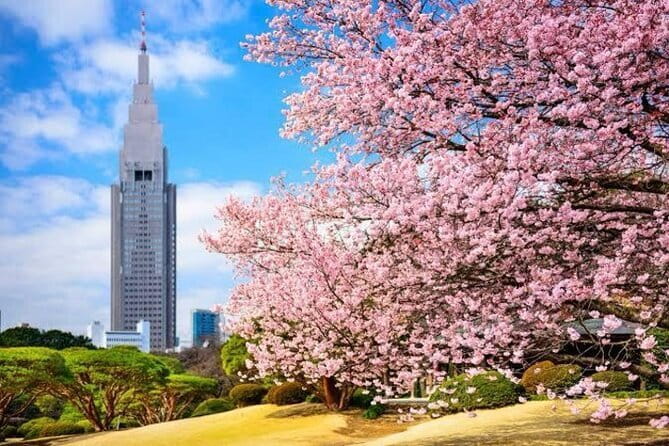 Tokyo Private Day Tour by Car with English speaking Driver - Skytree, Imperial Palace East Gardens, and the Art of Contrasts