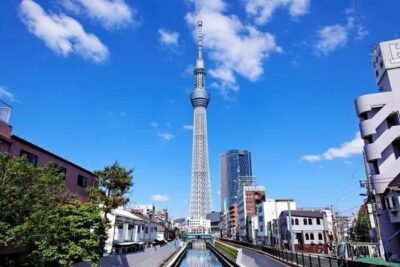 Tokyo Private Day Tour by Car with English speaking Driver