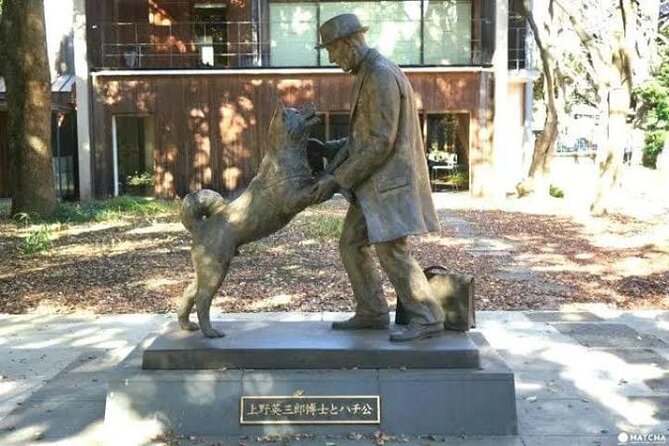 Tokyo Private Day Tour by Car with English speaking Driver Guide - Key things I think matter most