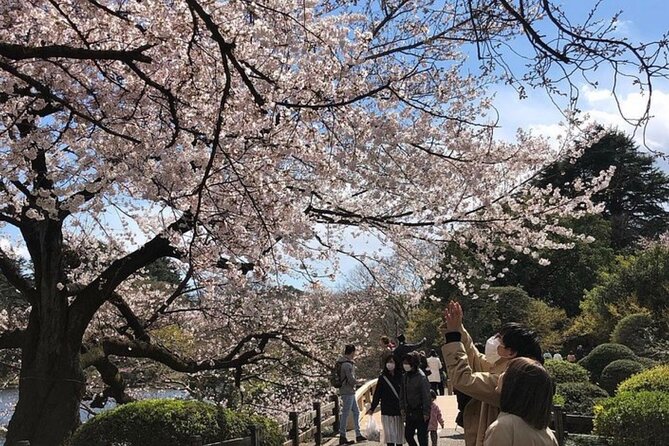 Tokyo Private Day Tour by Car with English speaking Driver Guide - Stop 4: Imperial Palace, stunning grounds with real-world timing