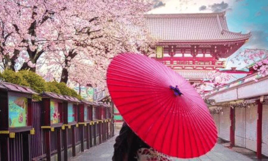 Tokyo: Private Guided Tour with Hotel Pickup and Drop-off - Senso-ji Temple and Nakamise Street: Where Ritual Meets Crowd Control