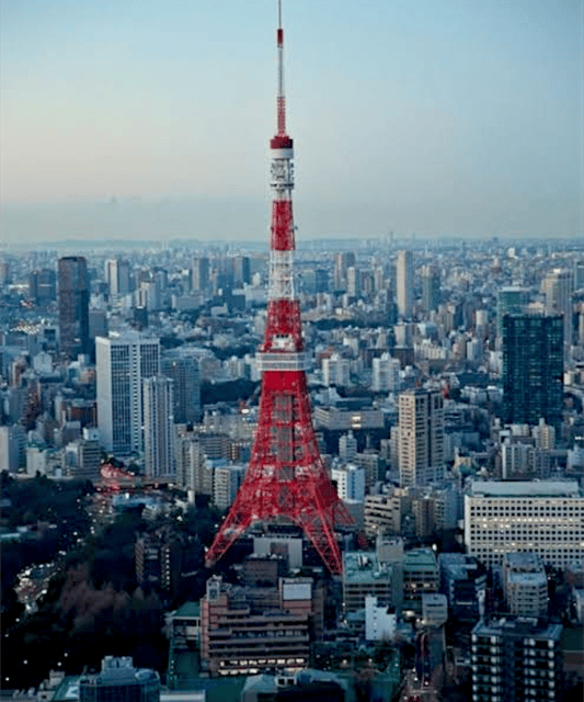 Tokyo: Private Guided Tour with Hotel Pickup and Drop-off - Skytree Time: Views Are Worth It, But Expect Real-Life Lines