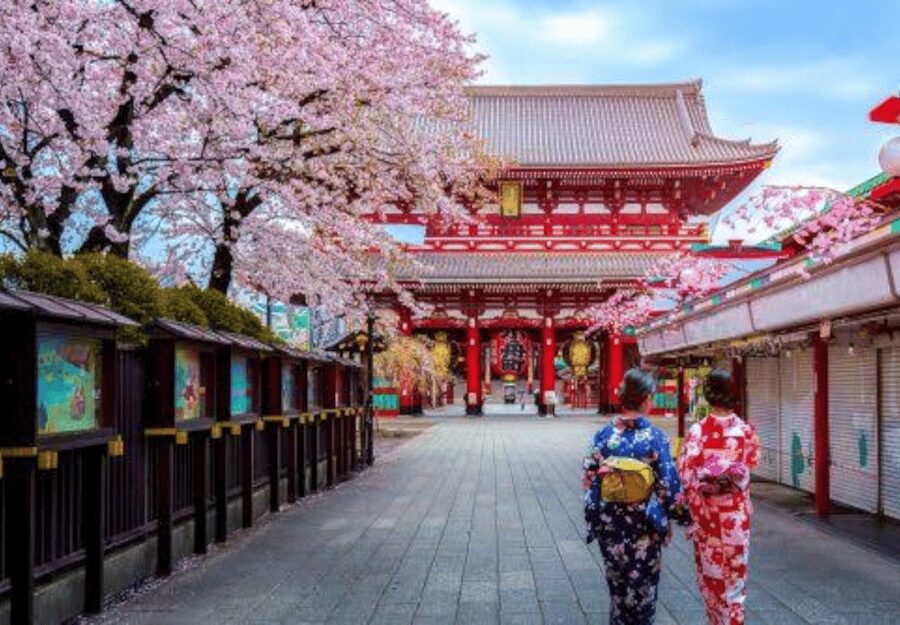 Tokyo: Private Guided Tour with Hotel Pickup and Drop-off - Imperial Palace Grounds: Photo Views and Garden Time