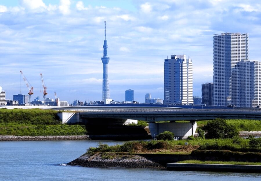 Tokyo: Private Guided Tour with Hotel Pickup and Drop-off - Shibuya and Harajuku: Neon, Fashion, and People-Watching That Works