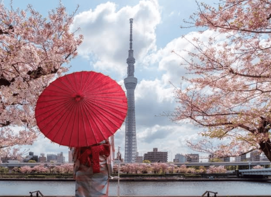 Tokyo: Private Guided Tour with Hotel Pickup and Drop-off - Odaiba: Waterfront Futures and a Late-Day Reset