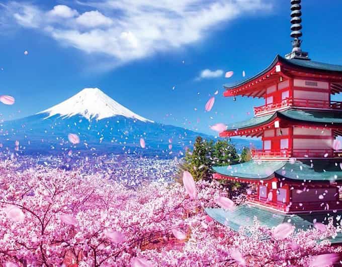 Tokyo: Private Mount Fuji and Hakone Day Trip with Guide - Door-to-Door Van Time: Pickup Options and How You Avoid Transit Stress