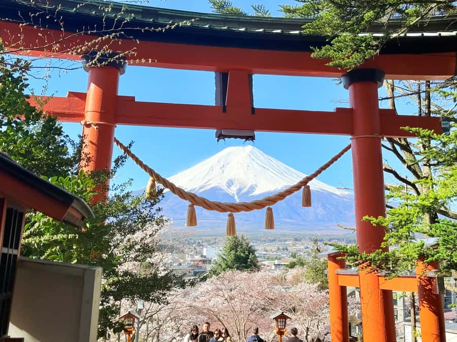 Tokyo: Private Mount Fuji Tour with Pickup and Drop-Off - Private Mount Fuji Day Trips: What You’re Actually Buying