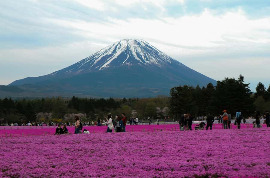 Tokyo: Private Mount Fuji Tour with Pickup and Drop-Off - Lake Kawaguchi First: Why This Stop Hits