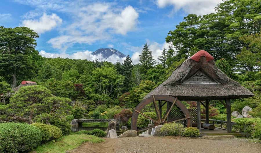 Tokyo: Private Mount Fuji Tour with Pickup and Drop-Off - Mount Fuji 5th Station: Optional, Weather-Driven, and Not Guaranteed