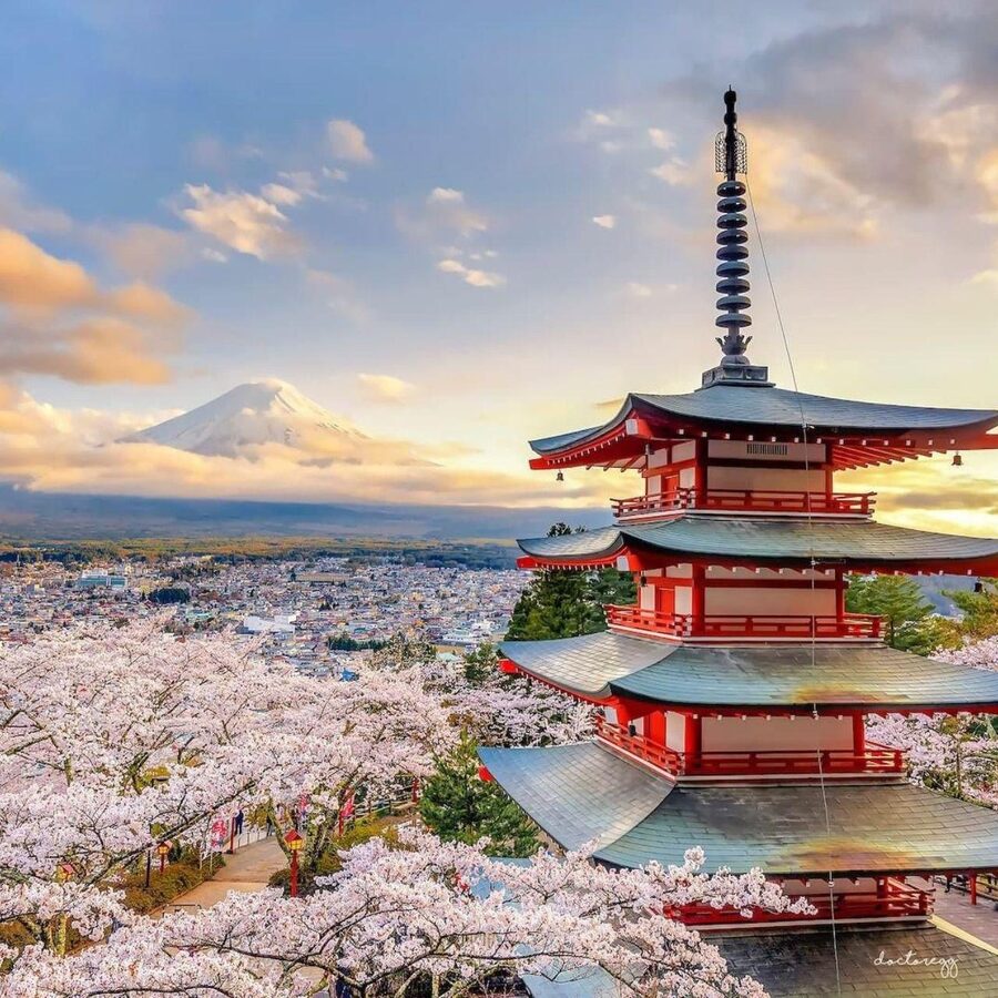 Tokyo: Private Mt. Fuji Luxury Day Tour – Fully Customizable - Lake Ashi and Hakone Add-Ons: When Your Day Becomes a Mini Hakone Trip