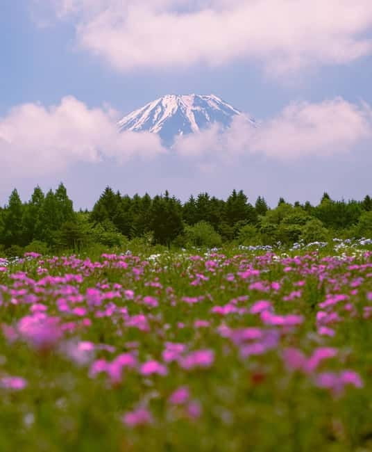Tokyo: Private Mt. Fuji Luxury Day Tour – Fully Customizable - Vehicle Comfort, Wi-Fi, and Why It Matters on a 10 to 12 Hour Day