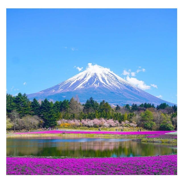 Tokyo: Private Mt. Fuji Luxury Day Tour – Fully Customizable - Oshino Hakkai: Traditional Lakeside Japan With Character