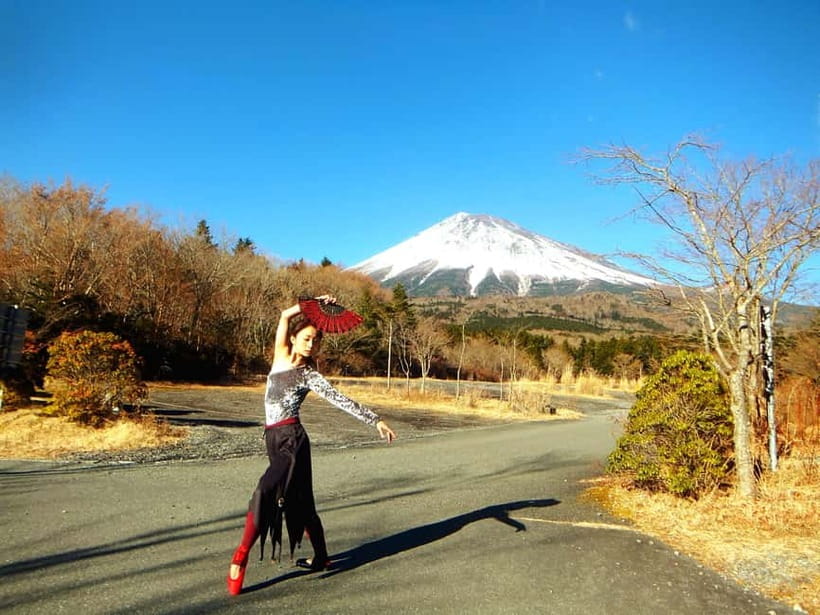 Tokyo: Private Mt. Fuji Luxury Day Tour – Fully Customizable - Pickup Inside Tokyo: The Hidden Value of Starting Easy