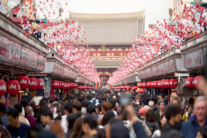 Tokyo Private Sightseeing Tour by Car and English Speaking Driver - A private car day solves Tokyo’s biggest problem, distance