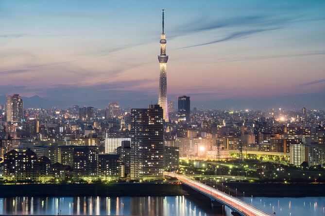 Tokyo Private Sightseeing Tour by Car and English Speaking Driver - Tsukiji Outer Market: snack your way through lunch