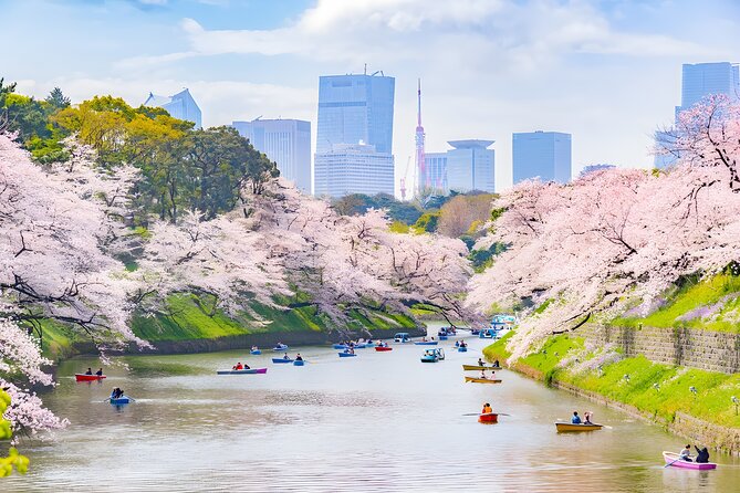 Tokyo Private Sightseeing Tour by Car and English Speaking Driver - Meiji Jingu and the Harajuku shift: forest calm into street style
