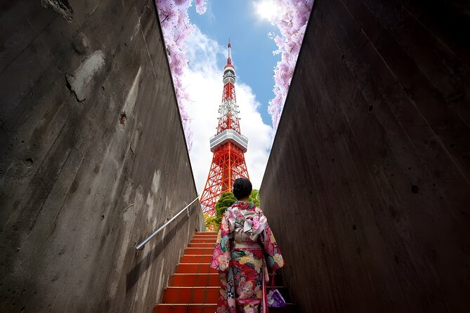 Tokyo Private Sightseeing Tour by Car and English Speaking Driver - Price and logistics: what $273.90 for up to 3 really buys