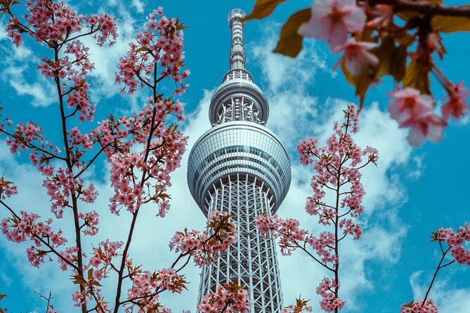Tokyo Private Sightseeing Tour by Car- English speaking chauffeur - Odaiba to Shibuya Crossing, moving from bay views to peak energy