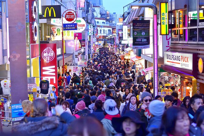 Tokyo Private Sightseeing Tour by Car- English speaking chauffeur - Price and logistics for this Tokyo Private Sightseeing Tour by Car