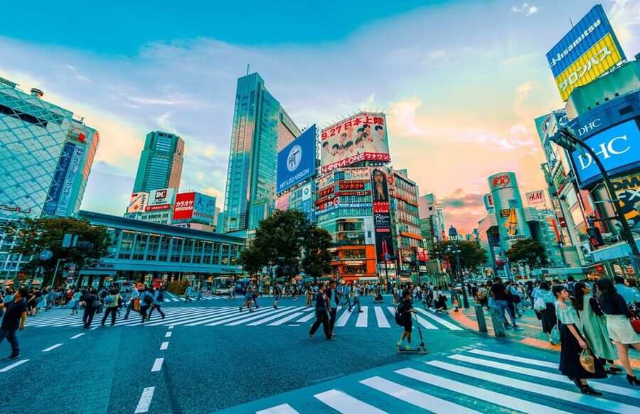 Tokyo: Private Tailored Tour with a Local Guide - Nakano Broadway: browsing time with fewer wrong turns