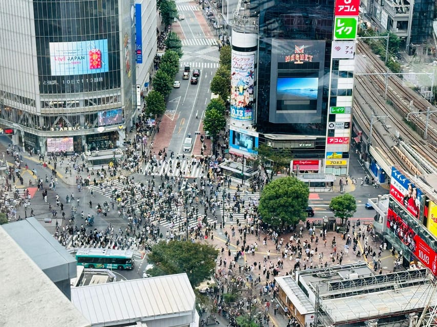 Tokyo: Private Tailored Tour with a Local Guide - Shinjuku viewpoints and Omoide Yokocho’s Showa-era mood