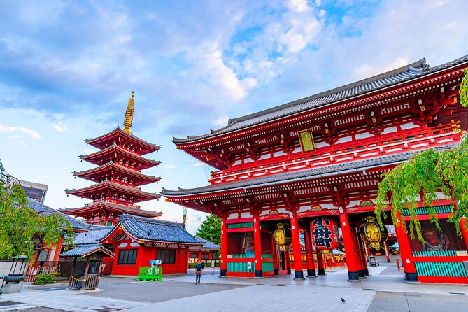 Tokyo Private Tour - Akihabara: anime culture plus real electronics hunting