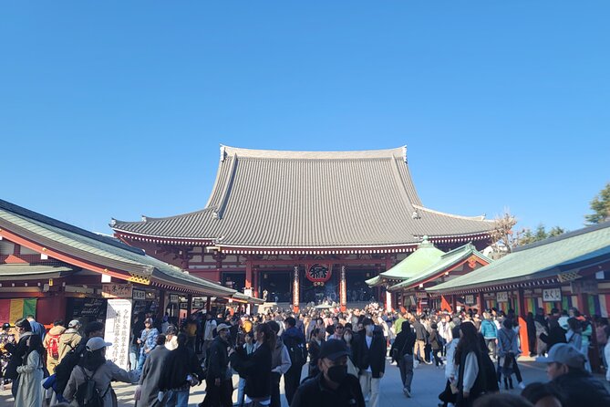 Tokyo Private Tour by Car with English speaking driver - How a 10 hour private car day actually helps in Tokyo