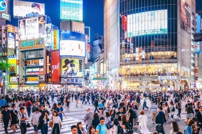 Tokyo Private Tour by Car with English speaking driver - What you can expect from the driver, and where expectations should be clear