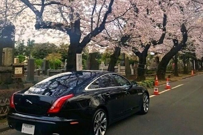 Tokyo Private Tour by Vehicle with English-Speaking Chauffeur - How the full-day route really flows