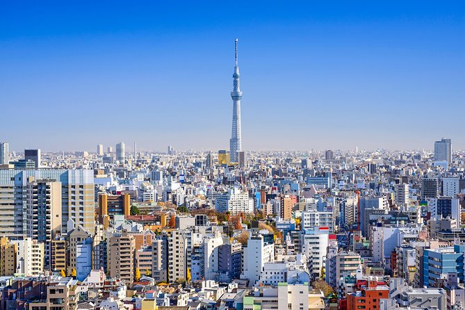 Tokyo Private Tour by Vehicle with English-Speaking Chauffeur - Stop 2: Tokyo Skytree for big skyline views