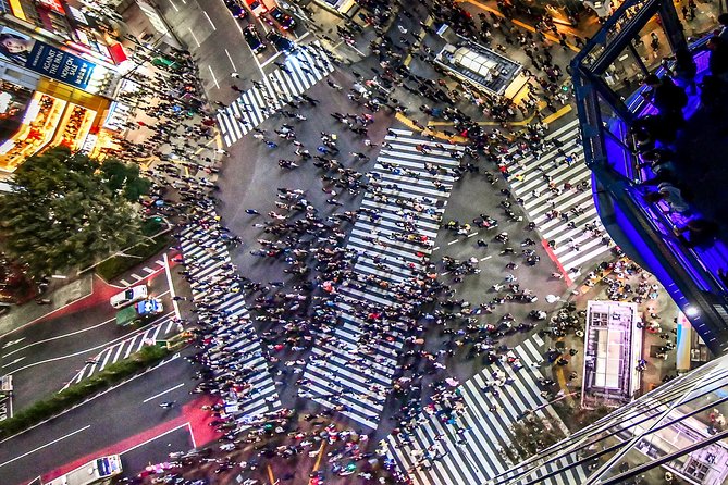 Tokyo Private Tour by Vehicle with English-Speaking Chauffeur - Stop 3: Tsukiji Outer Market for fish-market atmosphere and lunch